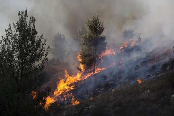 مصرع شخصين جراء حرائق الغابات جنوبي كاليفورنيا